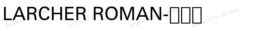LARCHER ROMAN字体转换